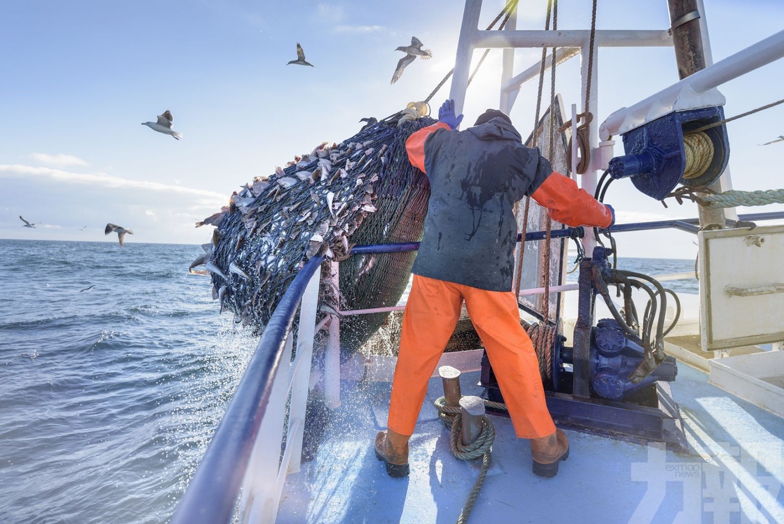 英國再向歐盟船隻發捕魚許可證