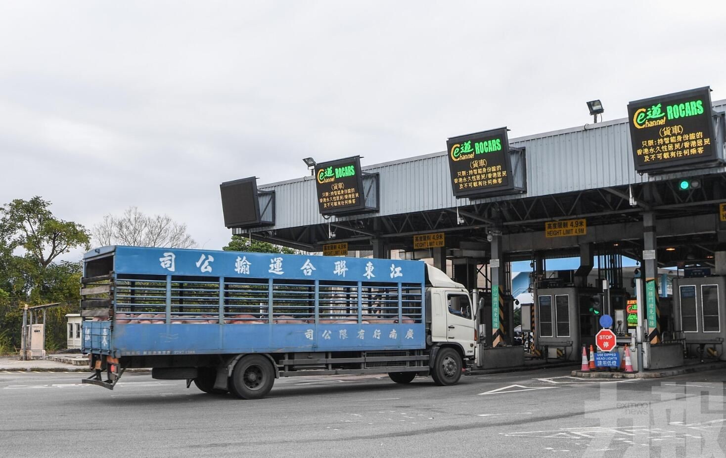 粵港跨境貨車司機核酸檢測頻次調整