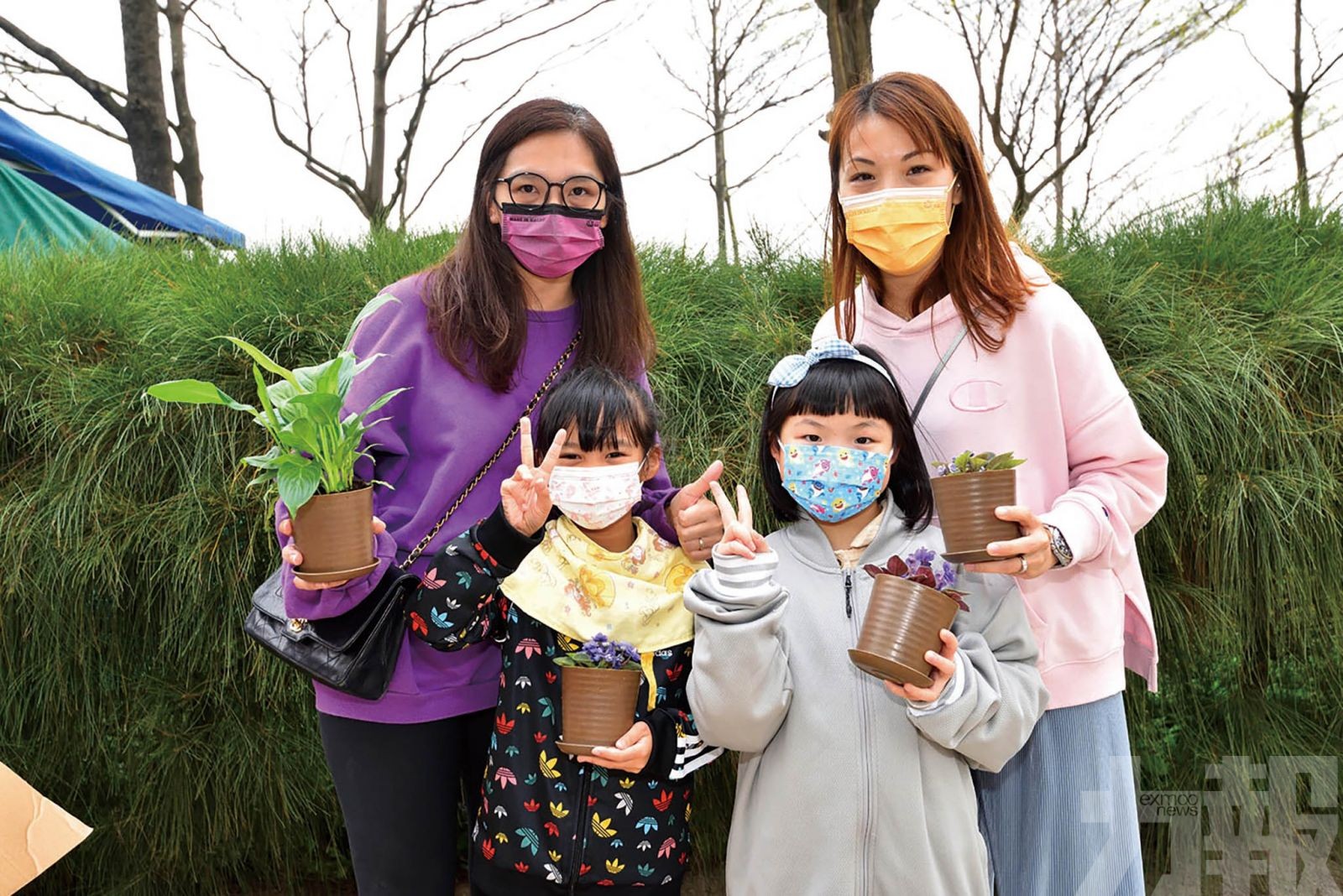 花木繁盛與民同樂