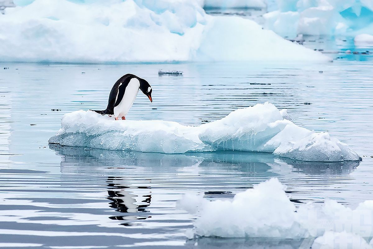 南極東部異常高溫創紀錄