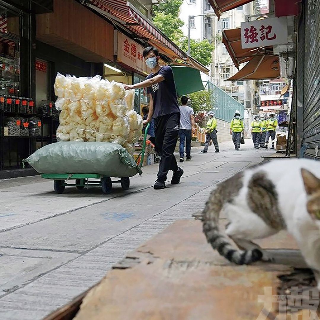 陳茂波對經濟前景仍有信心