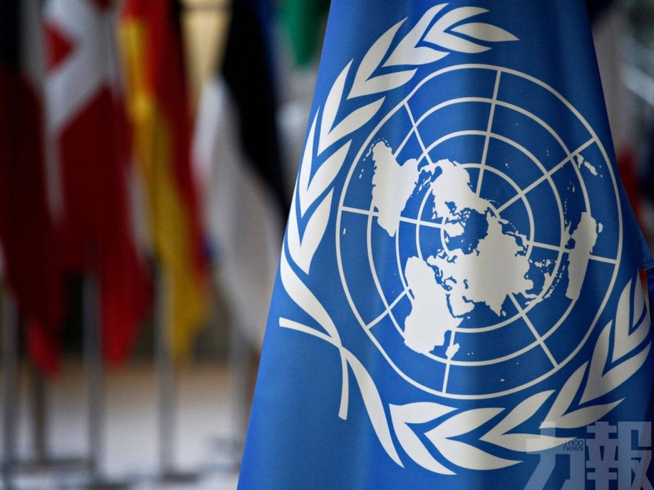 是否暫停俄羅斯在聯合國人權理事會資格