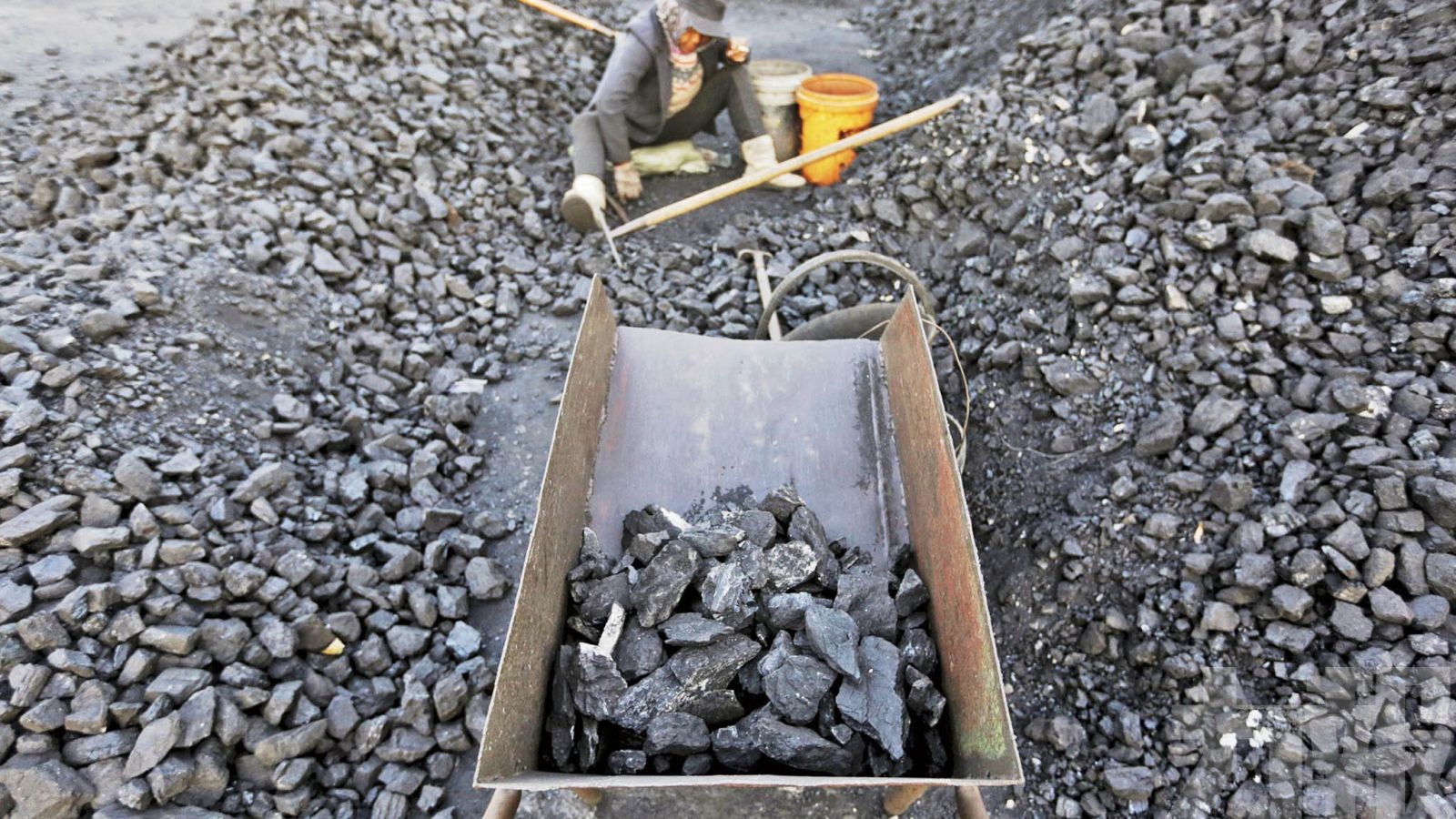 消息傳出後煤炭股創下歷史新高