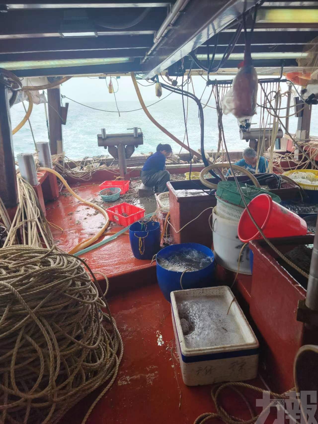 漁民逾半年「手停口停」零收入