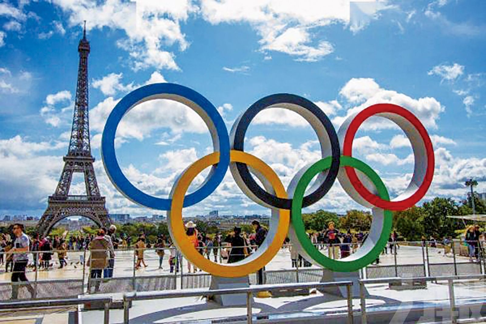 巴黎奧運會舉重參賽人數確定