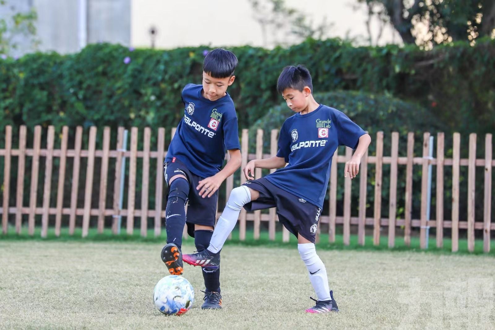 5月至8月內推出兒童暑期足球特訓計劃