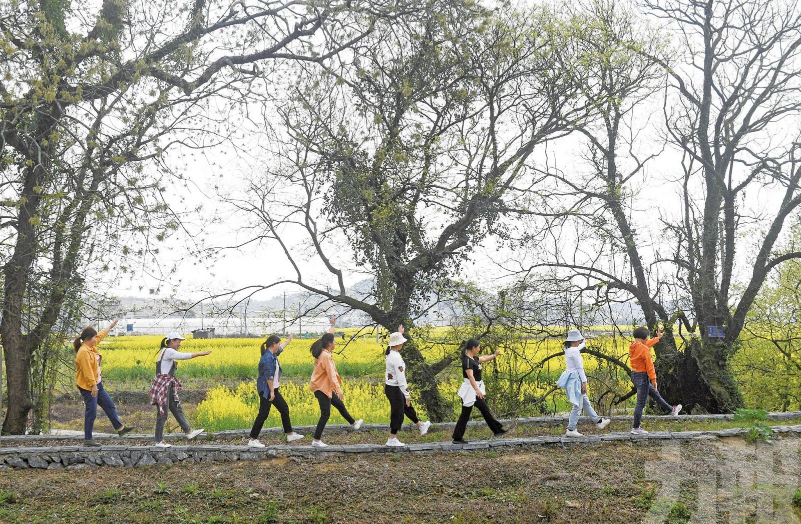 端午假期旅遊市場料回暖