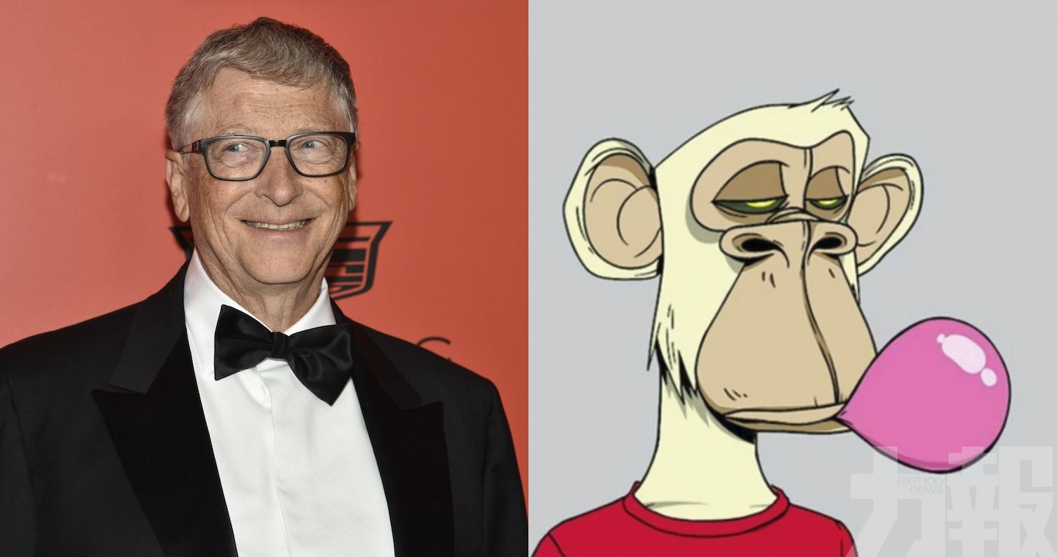 諷「昂貴的猴子圖片會改變世界」