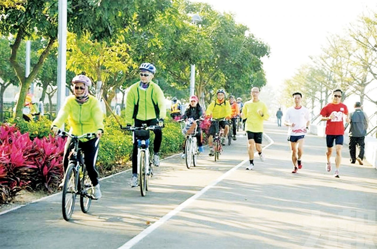 供市民散步 不能跑步踩單車