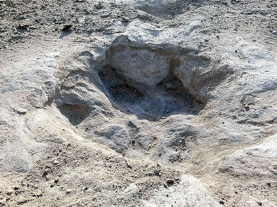 1.13億年前恐龍足跡現蹤