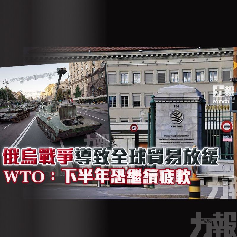 WTO：下半年恐繼續疲軟