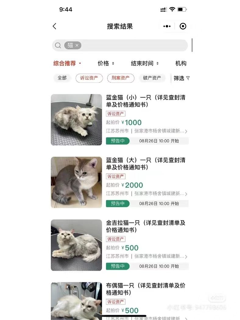 12隻貓咪被拍賣抵債