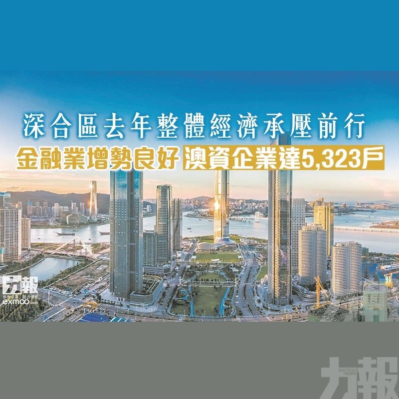 金融業增勢良好 澳資企業達5,323戶