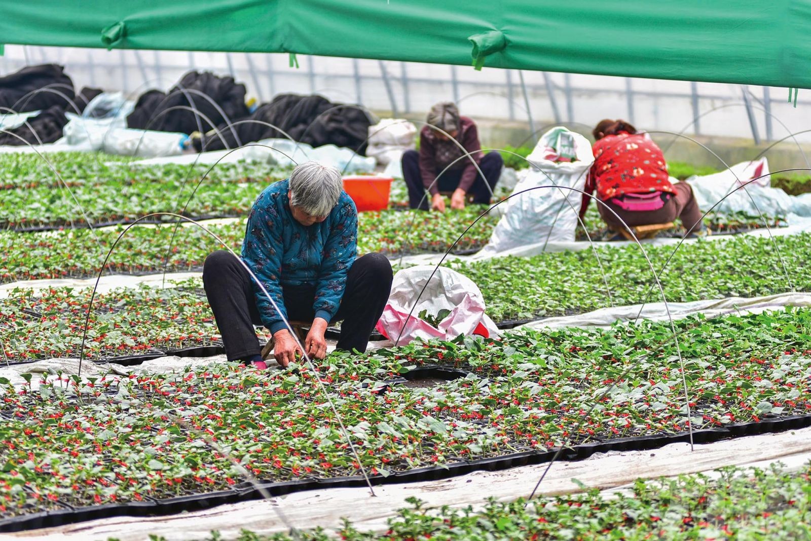 農村部將提高土地出讓收益用於農村比例