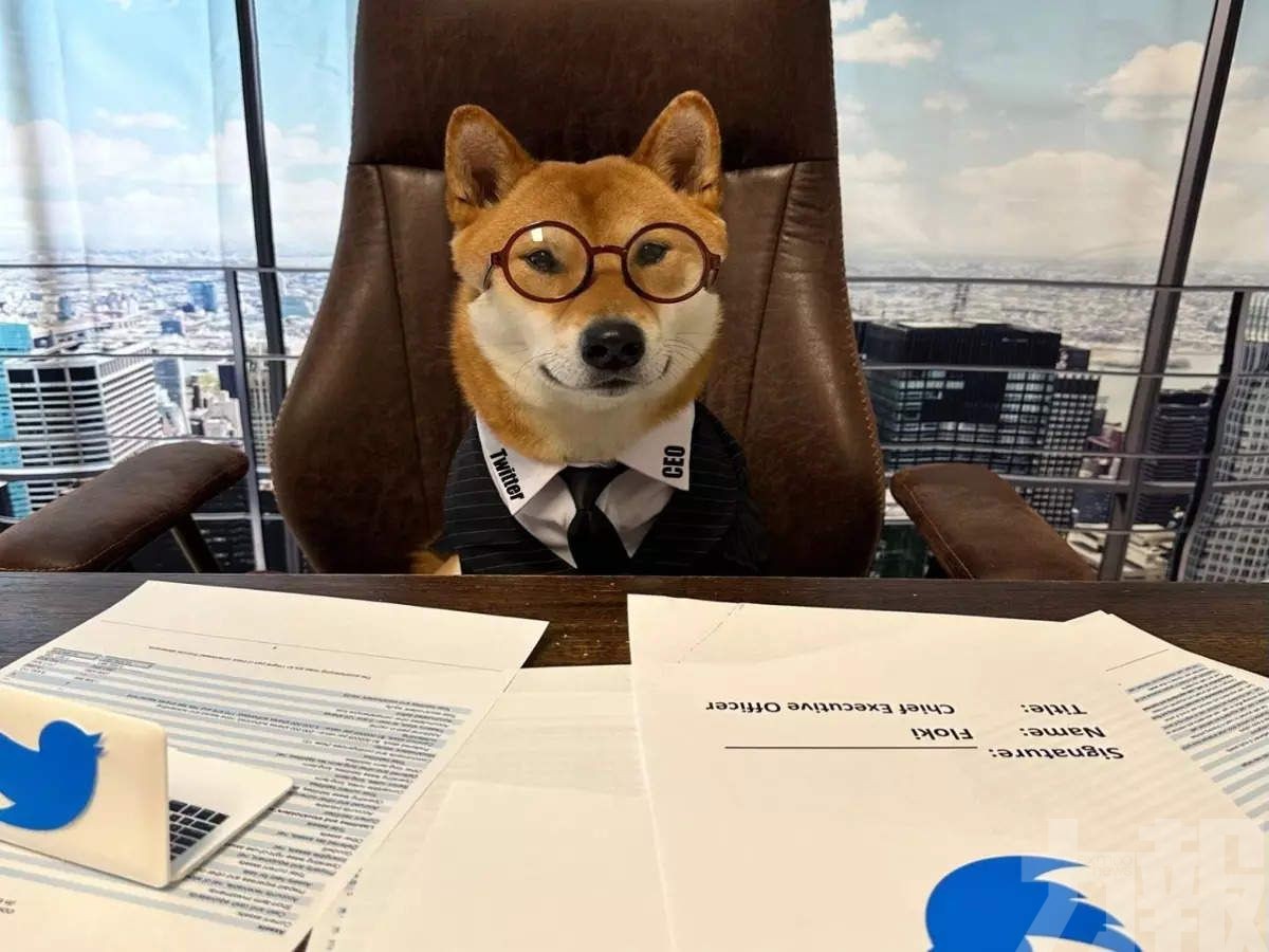 「我的狗才是CEO」