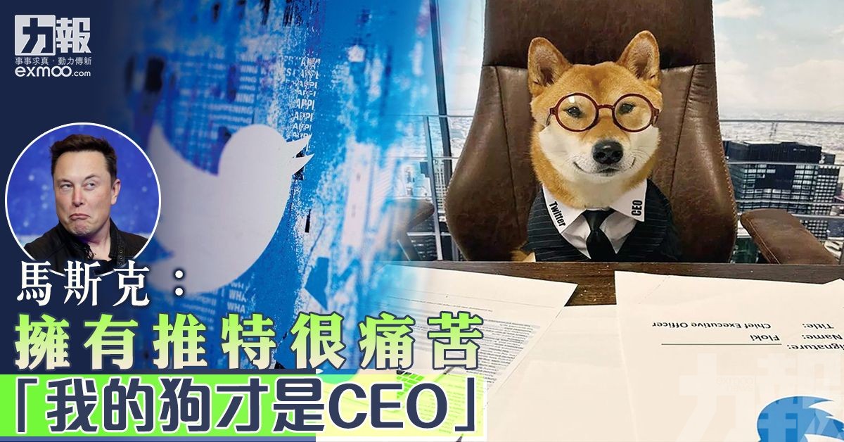 「我的狗才是CEO 」