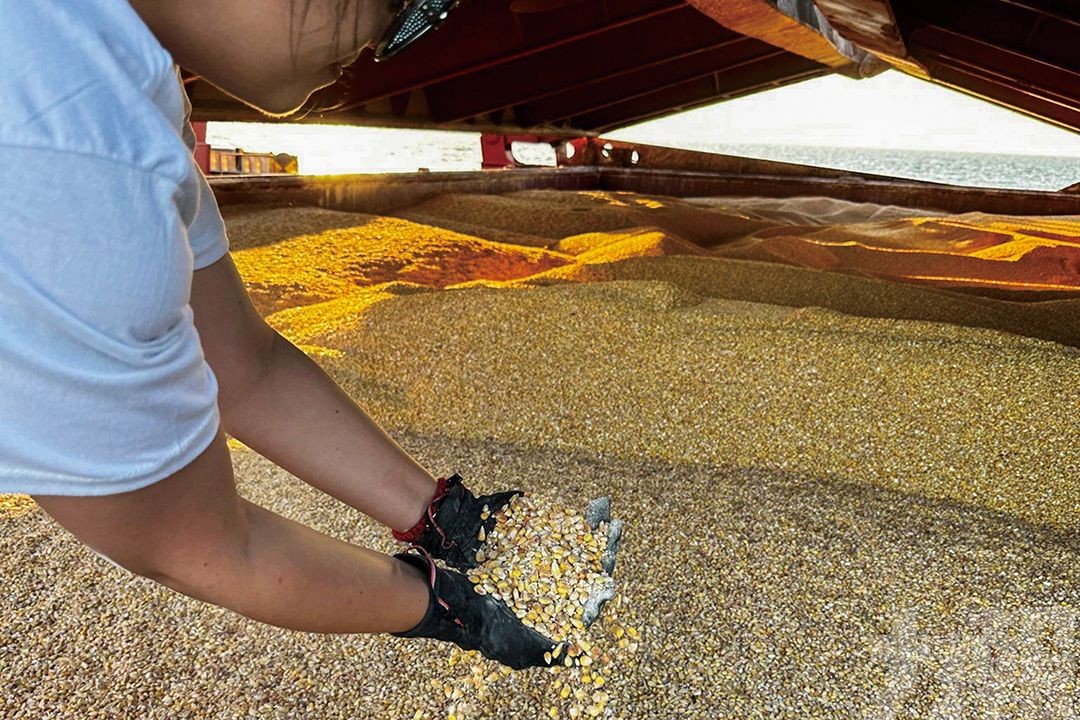 小麥期貨創11年來最大漲幅
