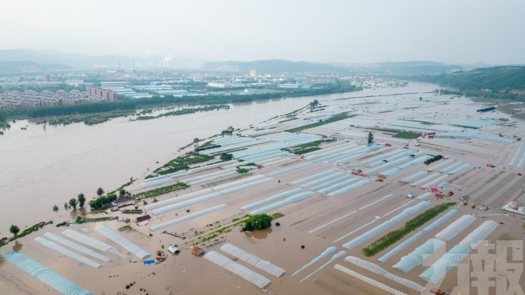 暴雨侵襲農業帶 稻田受損嚴重