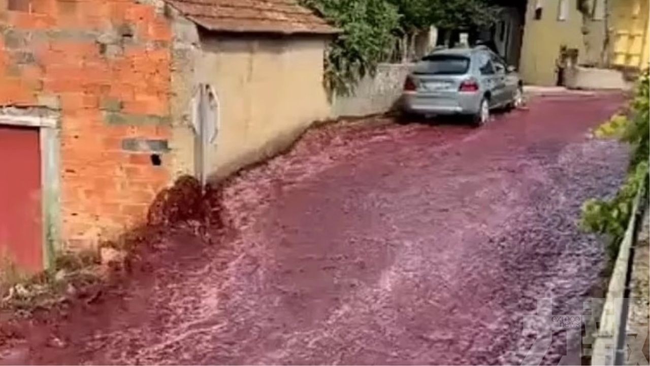 220萬升紅酒淹沒葡萄牙小鎮