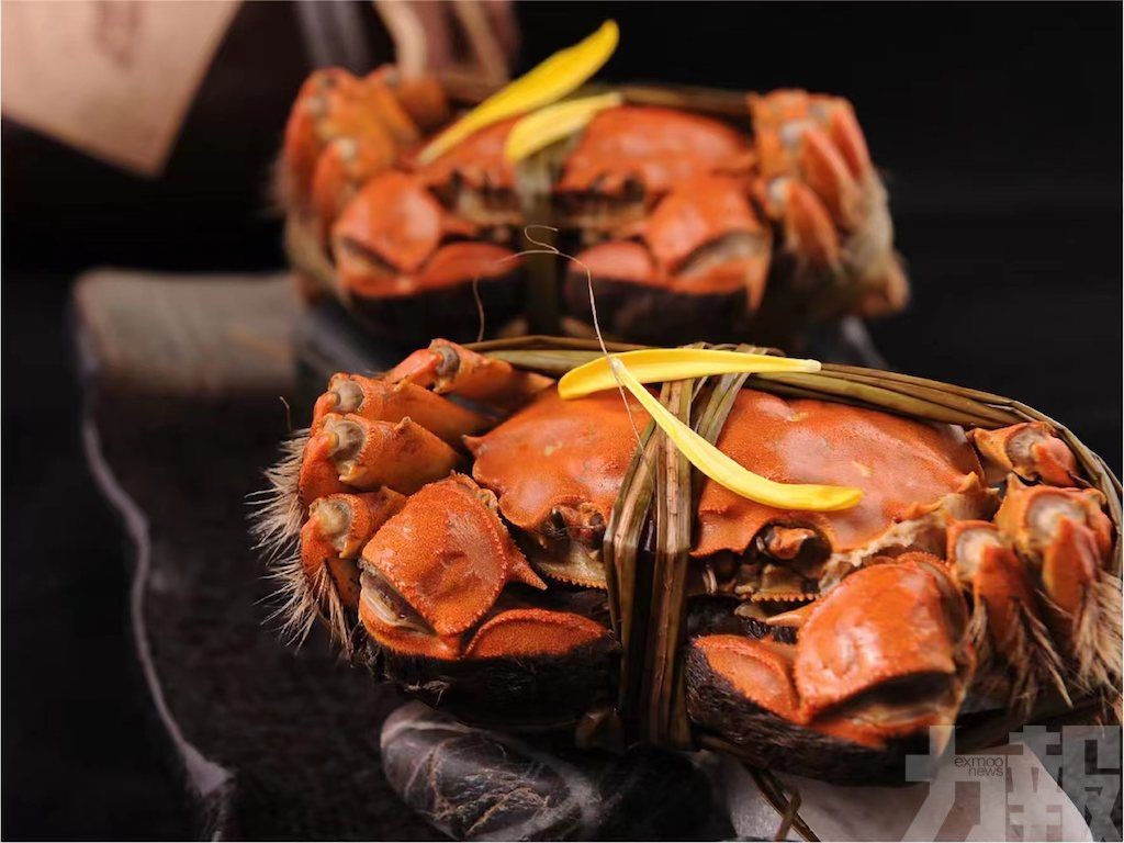 新葡京8餐廳攜上海成隆行蟹王府呈獻金秋蟹宴