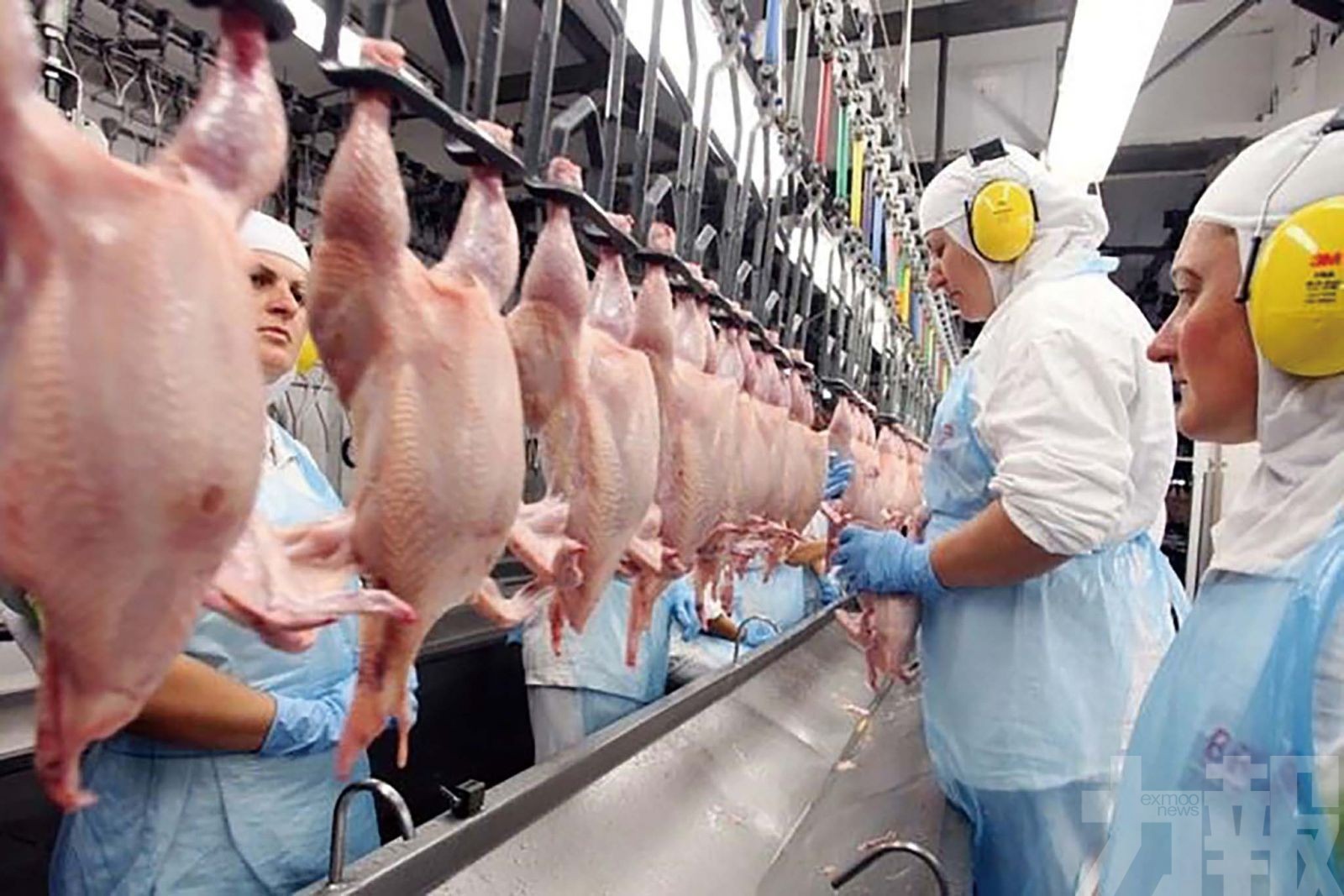 巴西獲中國取消禽肉反傾銷稅