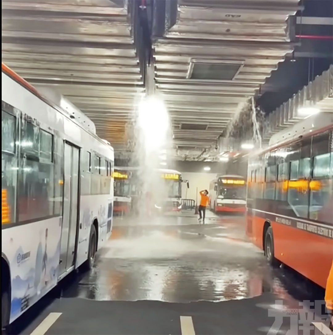 北區與氹仔路環雨量差天共地