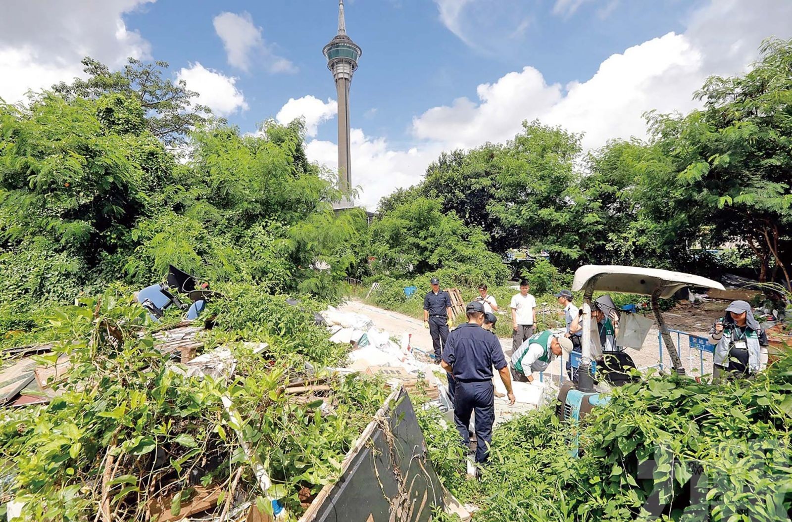 臨時利用「國有土地」需符公共利益