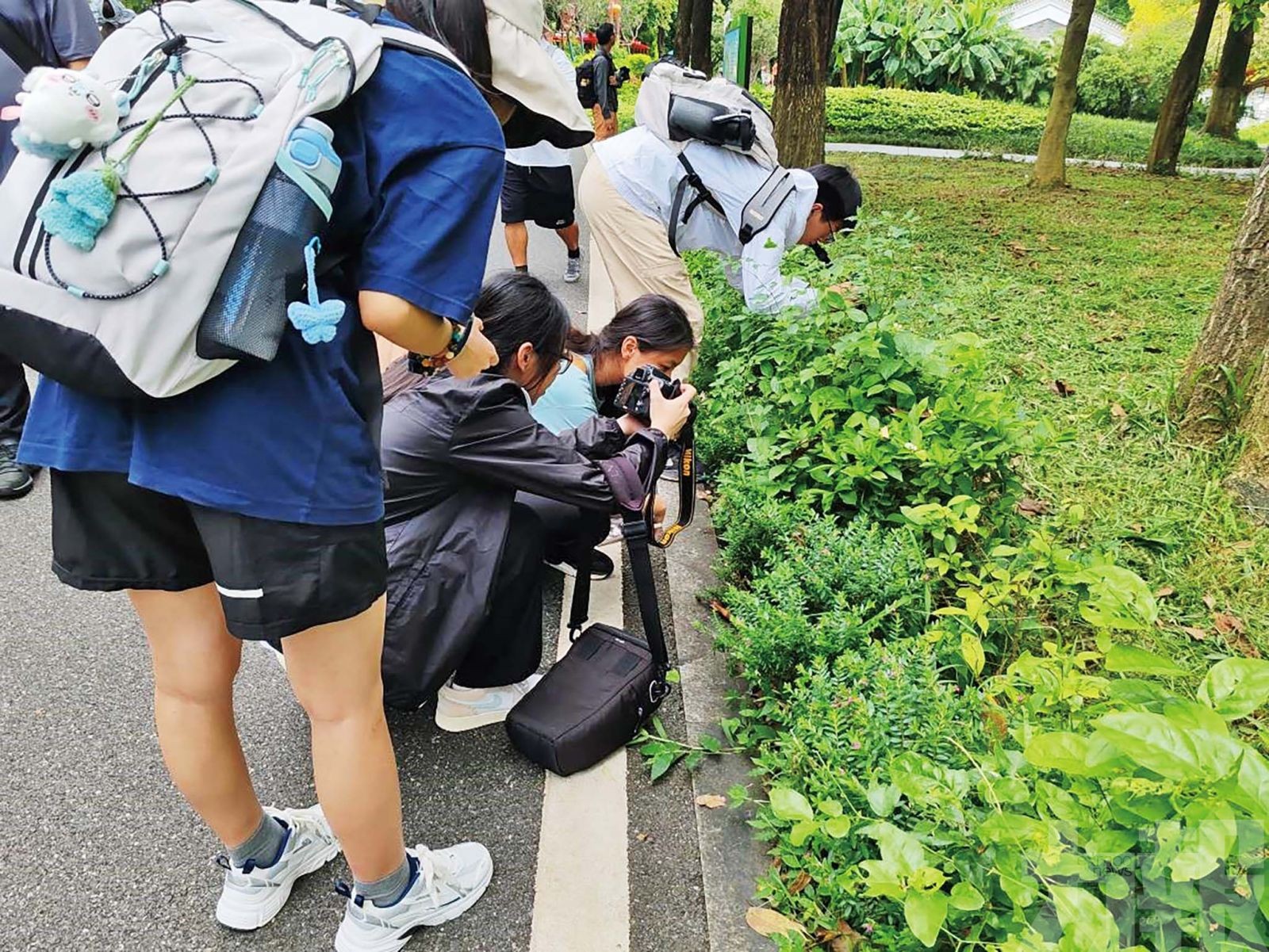 組織本澳中學生參觀廣州海珠濕地