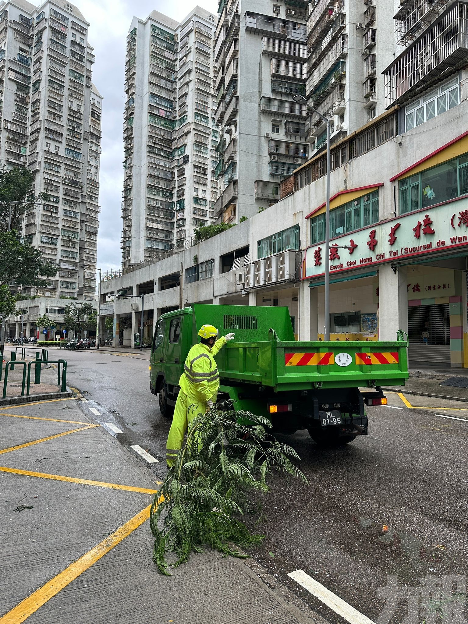 市政署加緊風後垃圾清運及綠化排查