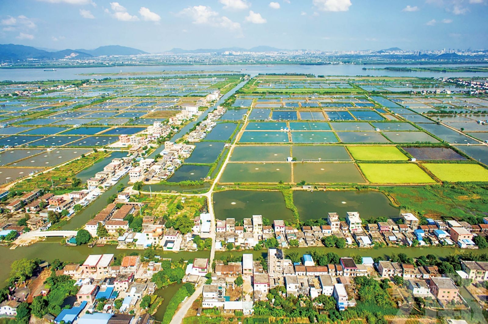 差距在何處?