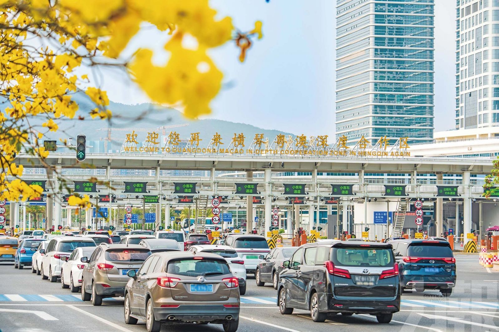 澳單牌車進出橫琴15萬車次增41%