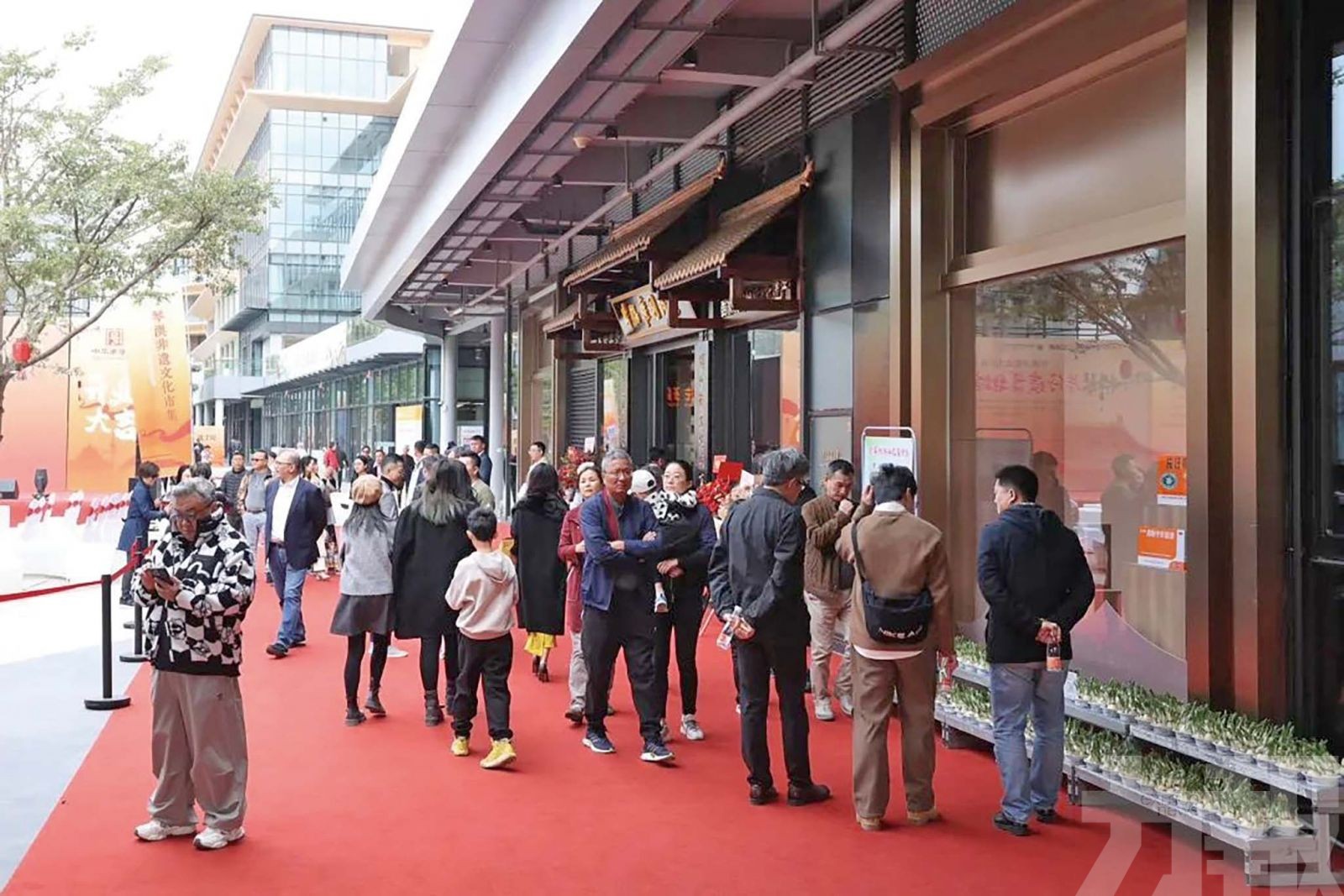 橫琴片仔癀博物館開館