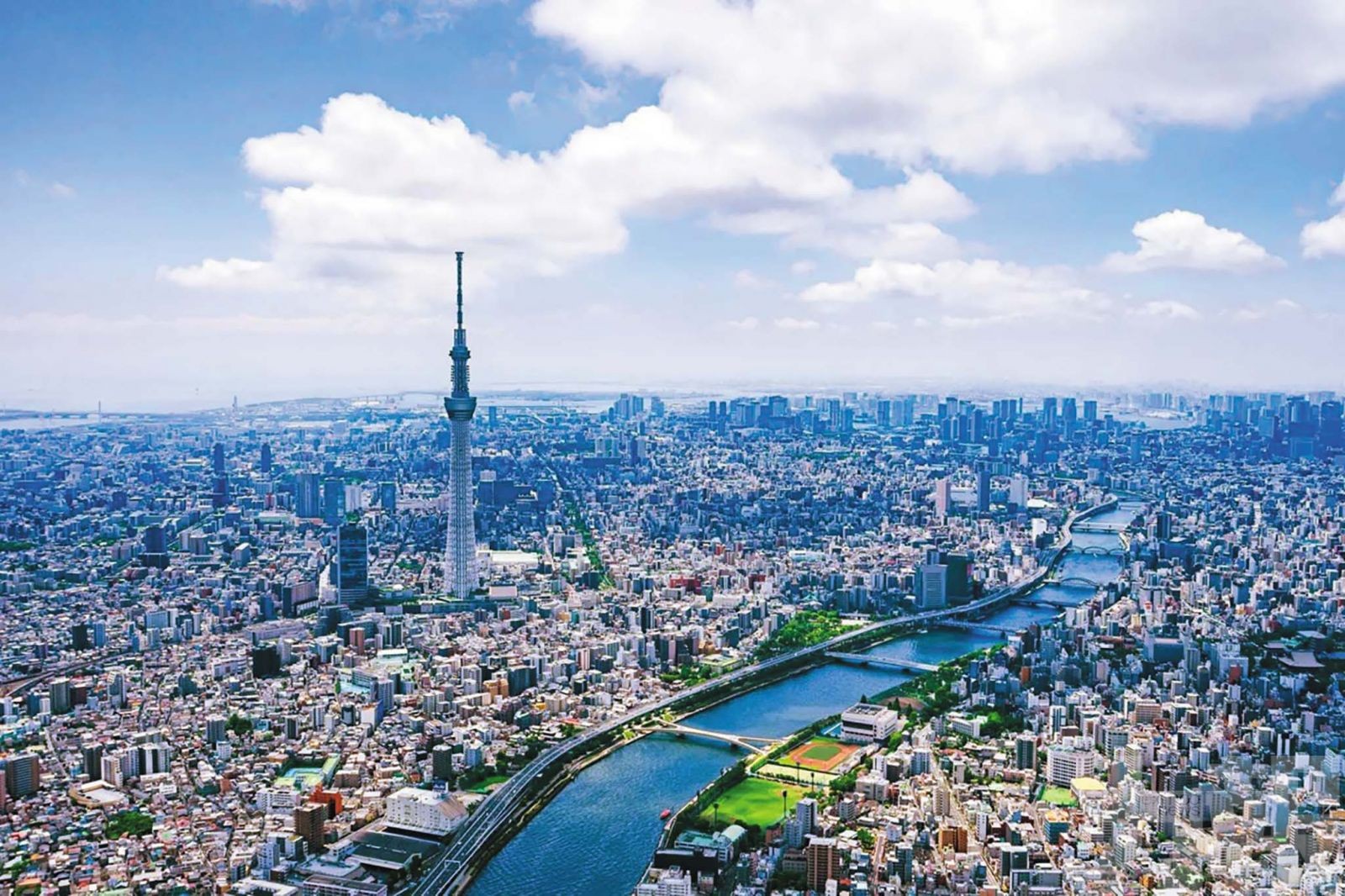 北海道與東京表態有意參與