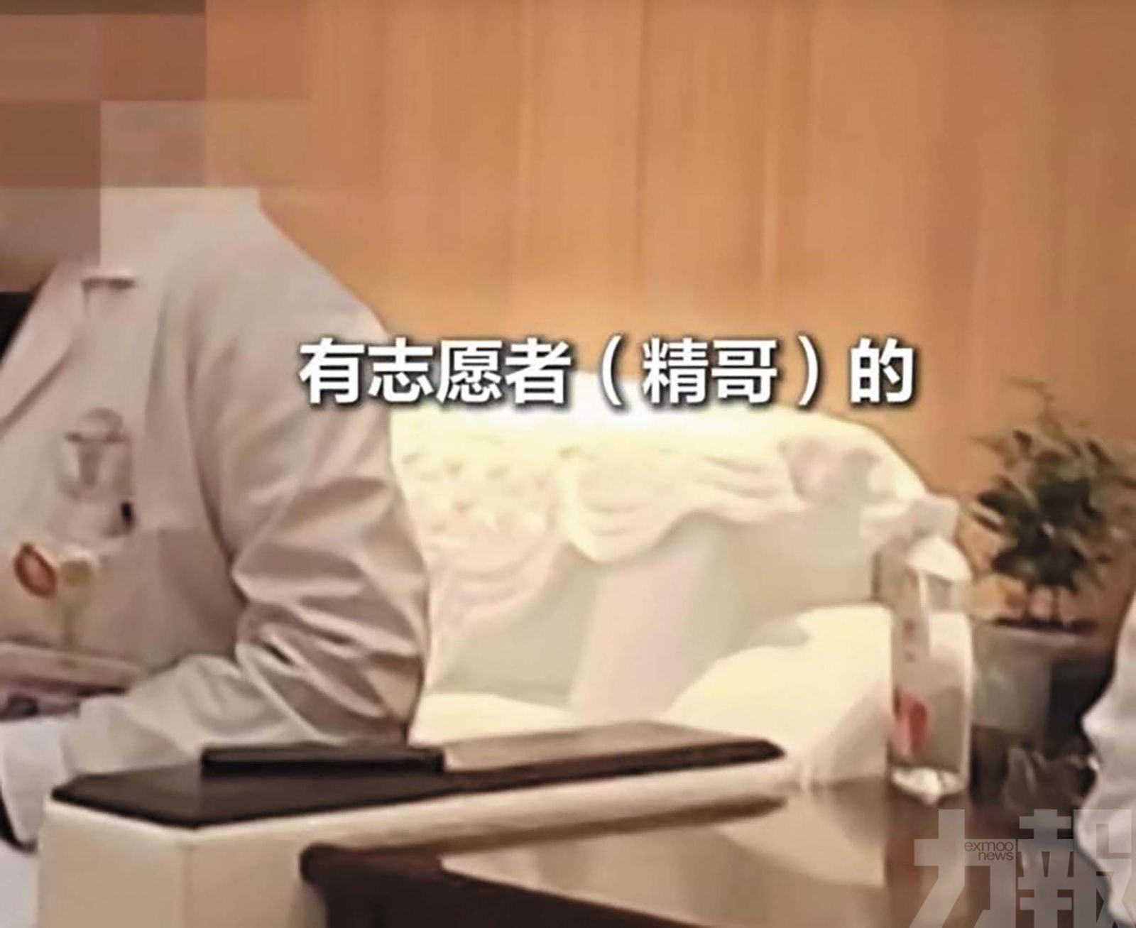 身高學歷長相任選