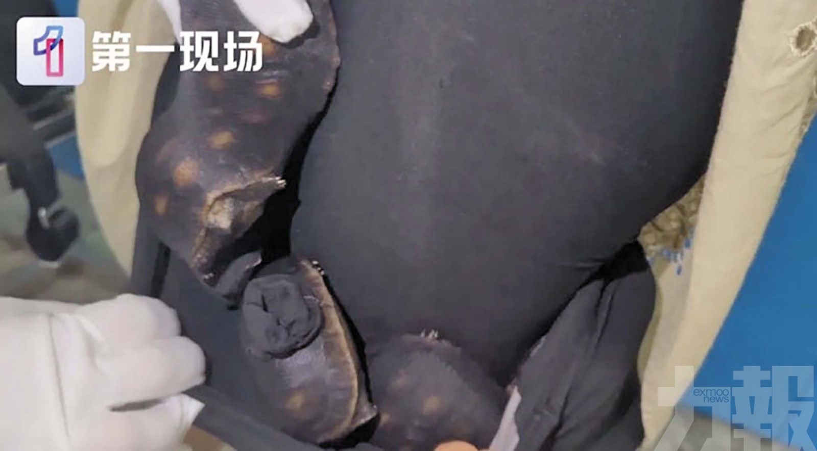 福田口岸闖關被截