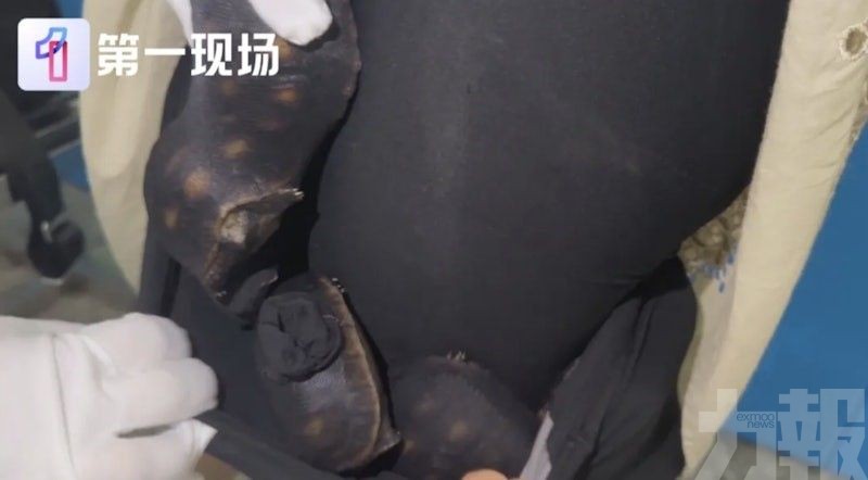 福田口岸闖關被截
