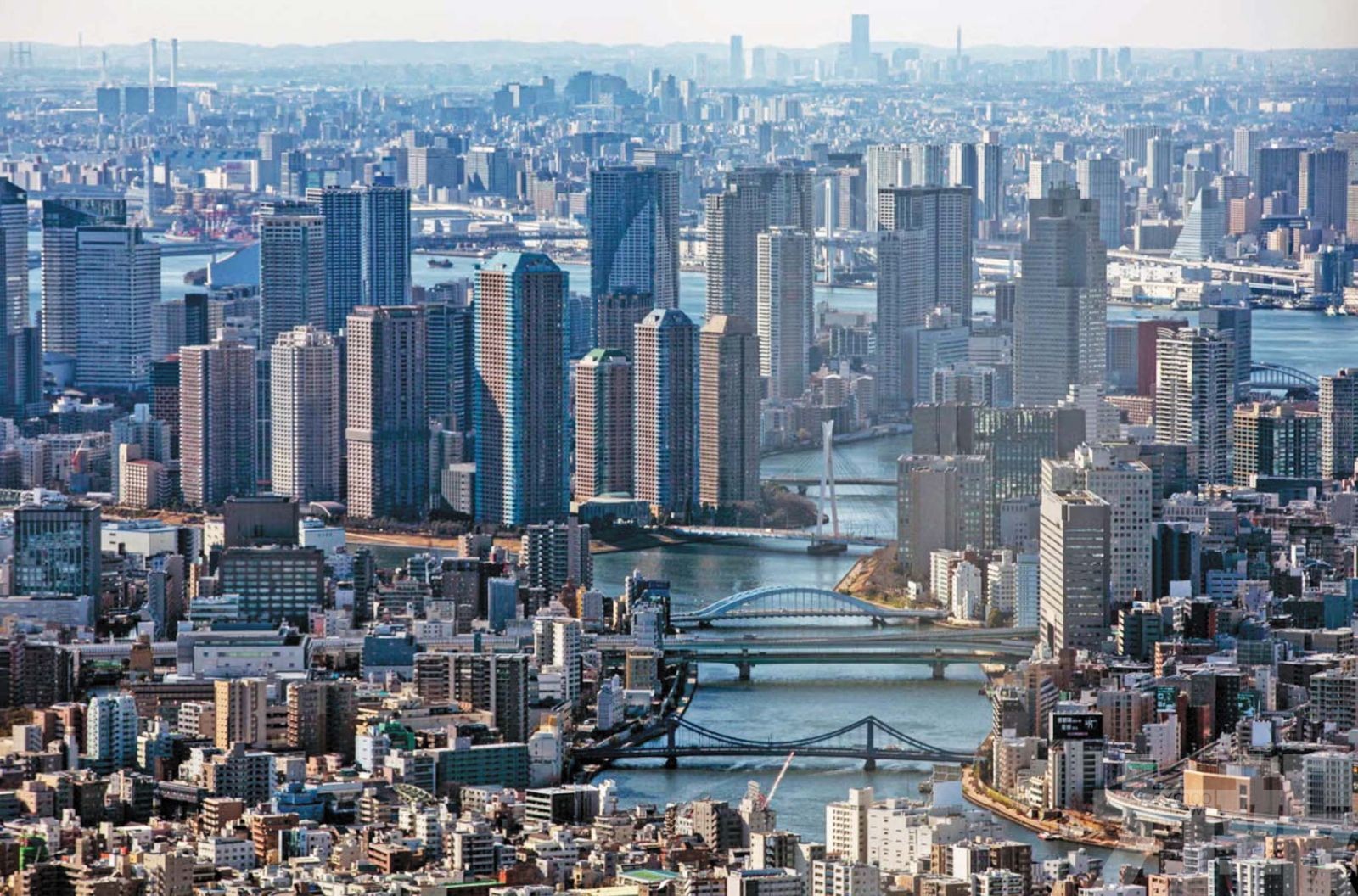 收緊非法網賭平台管制