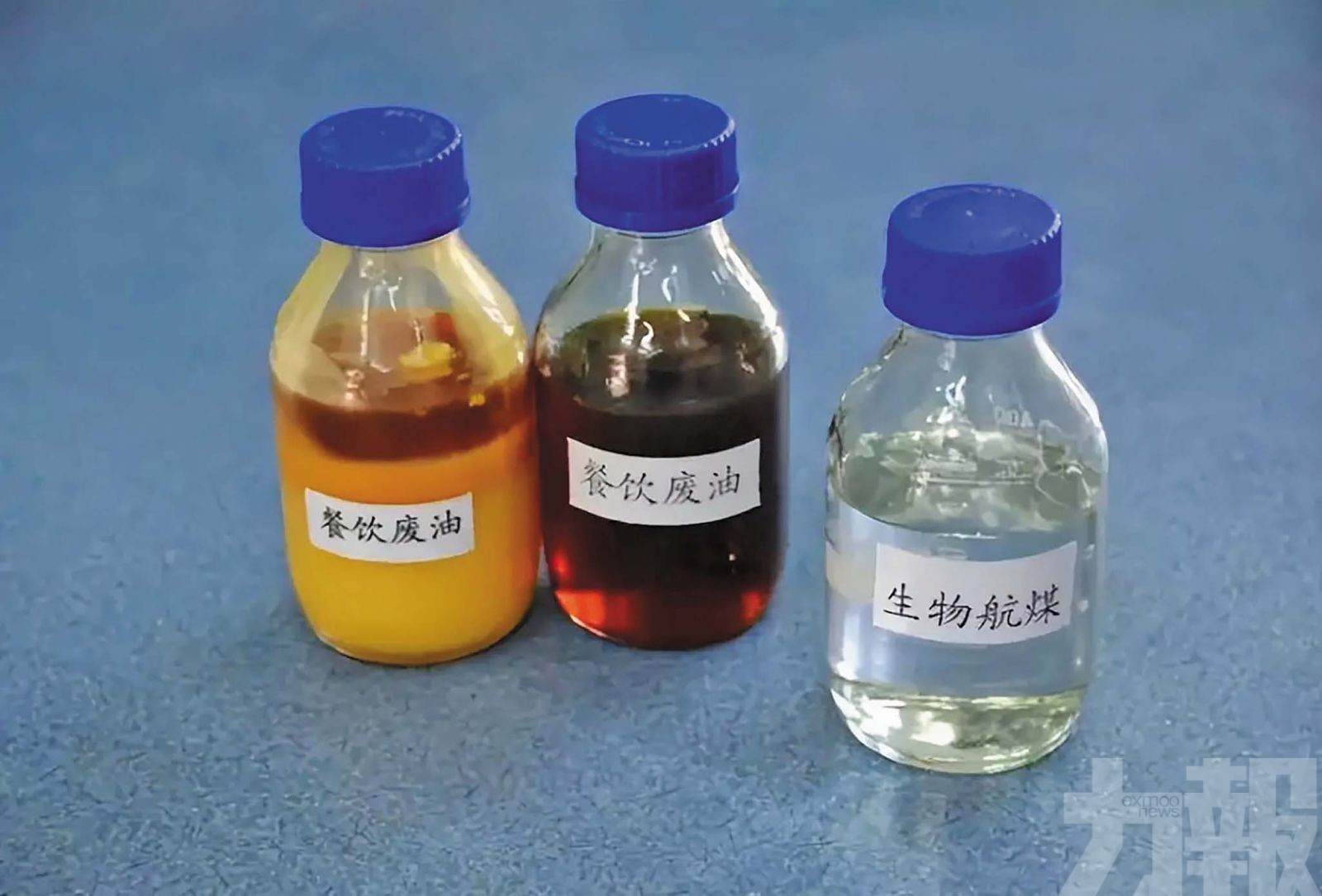 化身可持續航空燃料