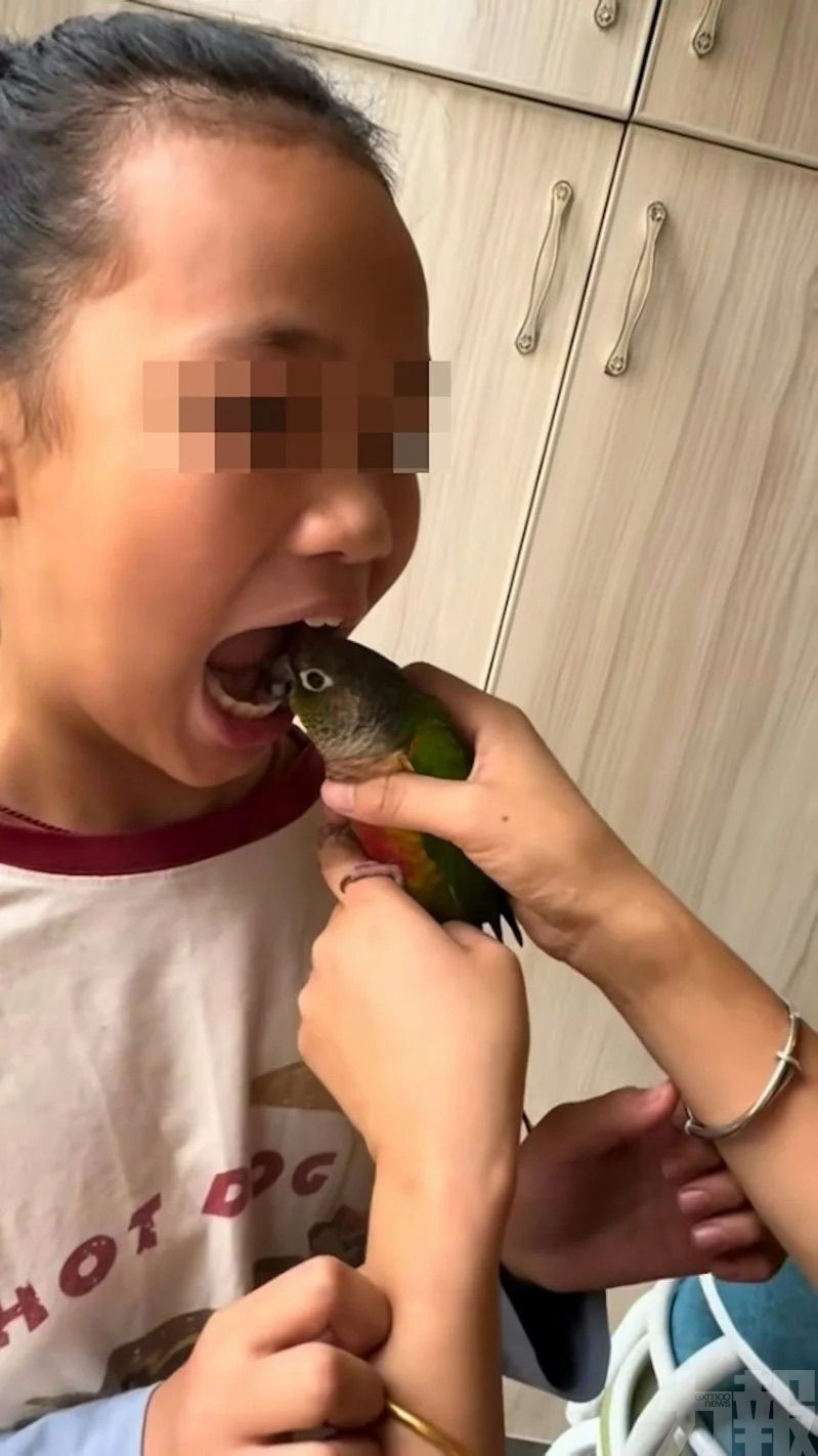 醫生警示恐得禽流感