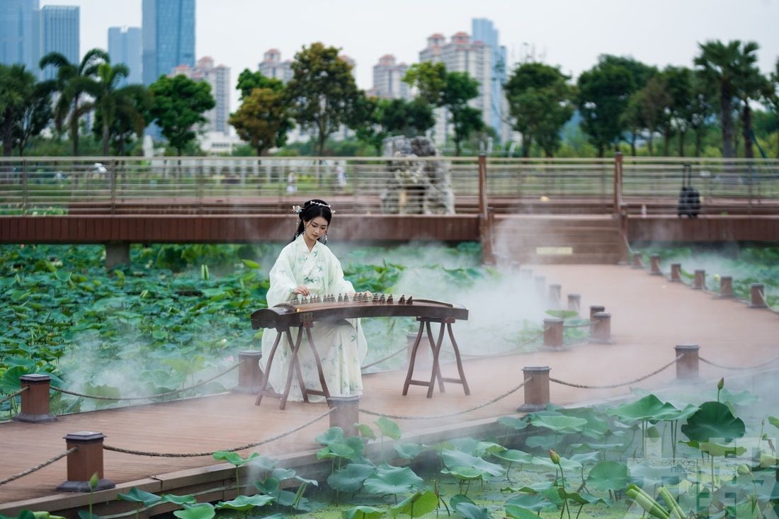 第三屆橫琴荷花節下周五開幕