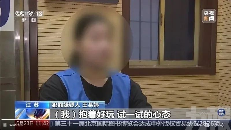 年僅17歲女首腦「小丫頭」落網