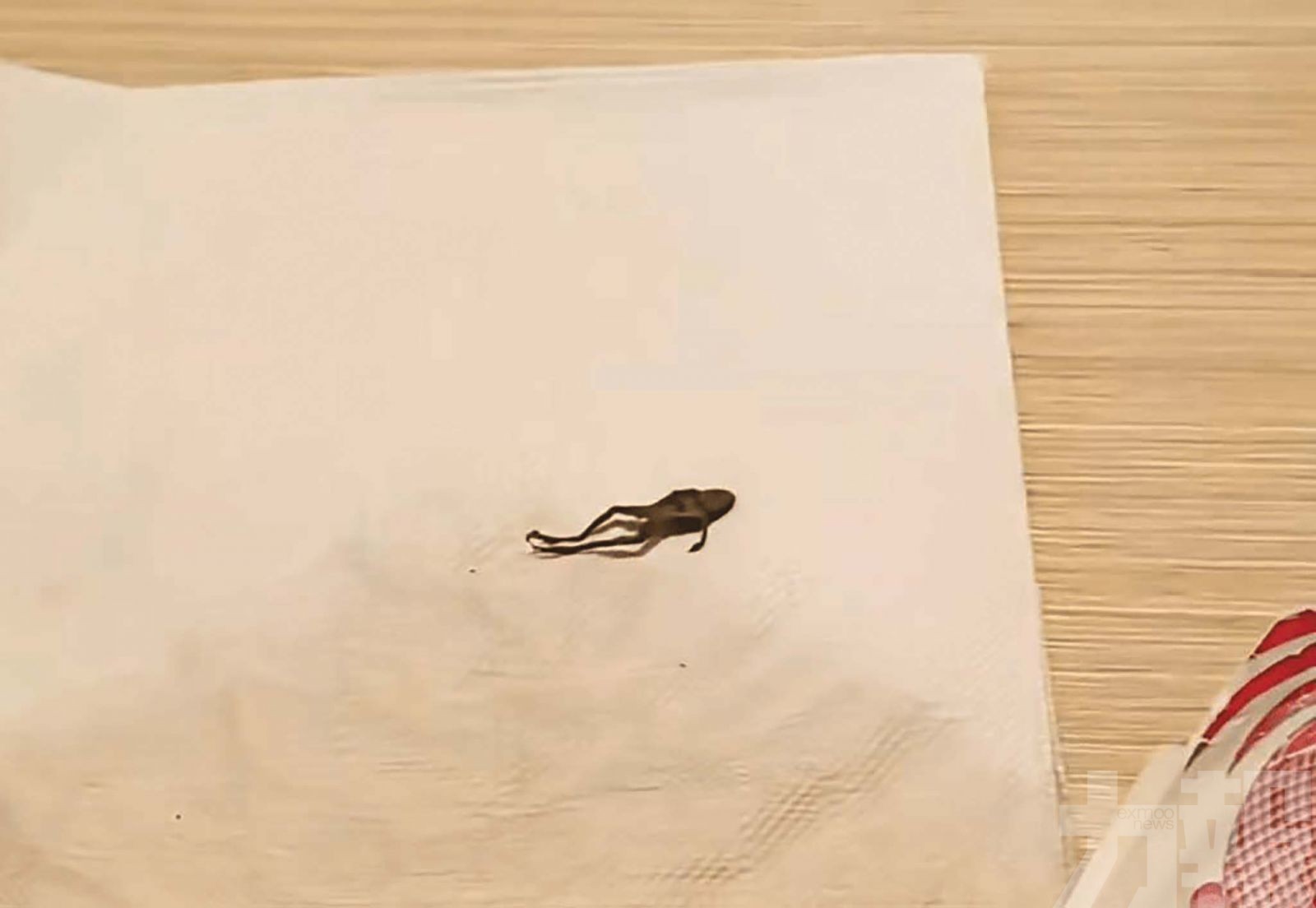 品牌回應：將依法處理並賠償