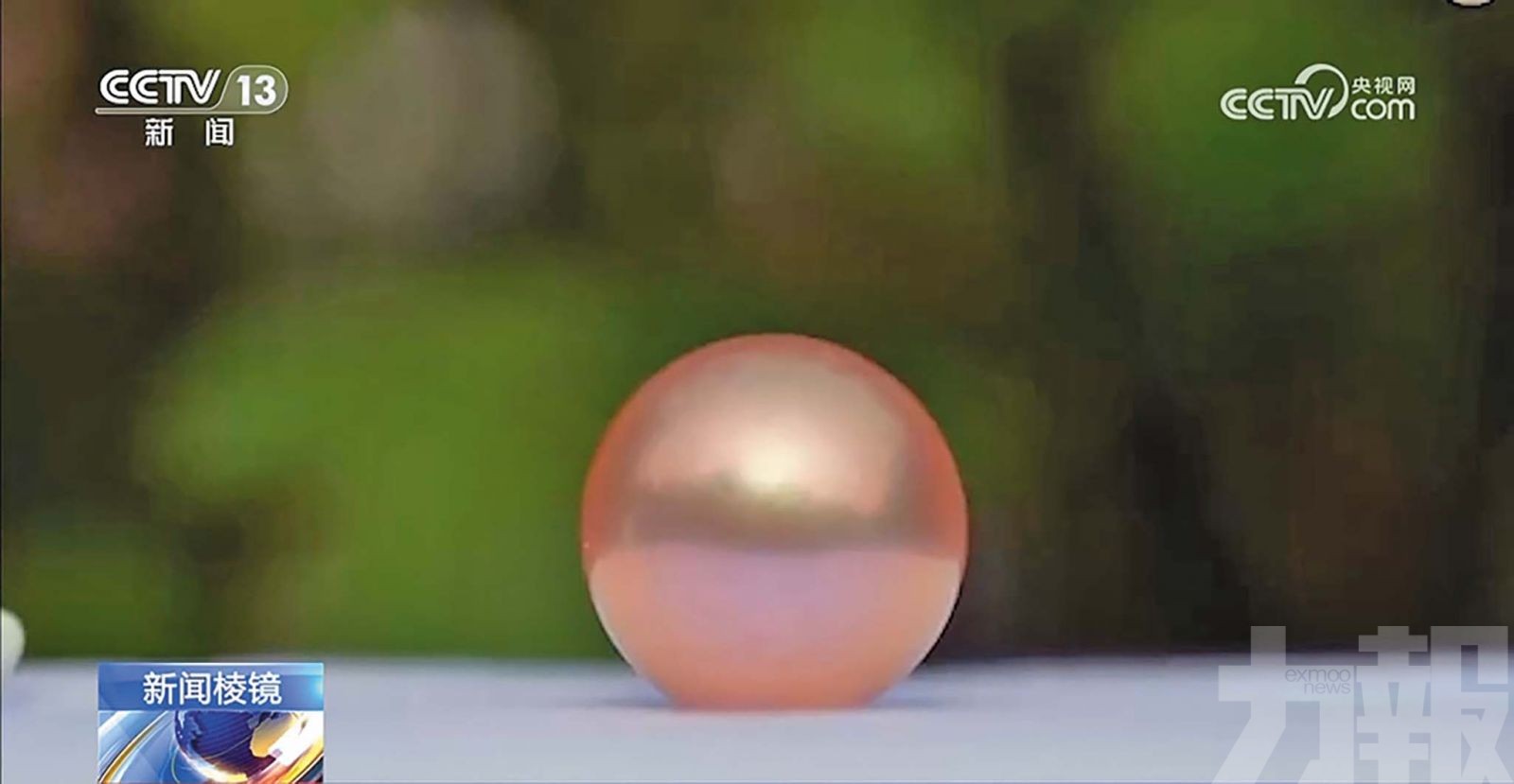 直播主偷塞珍珠誤導觀眾競價