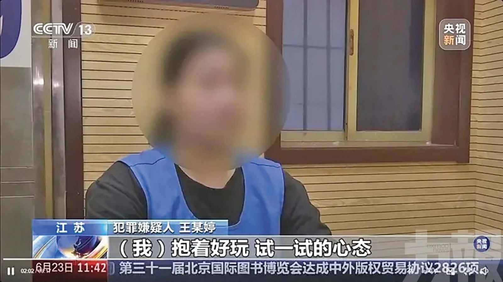 17歲女首腦「小丫頭」落網