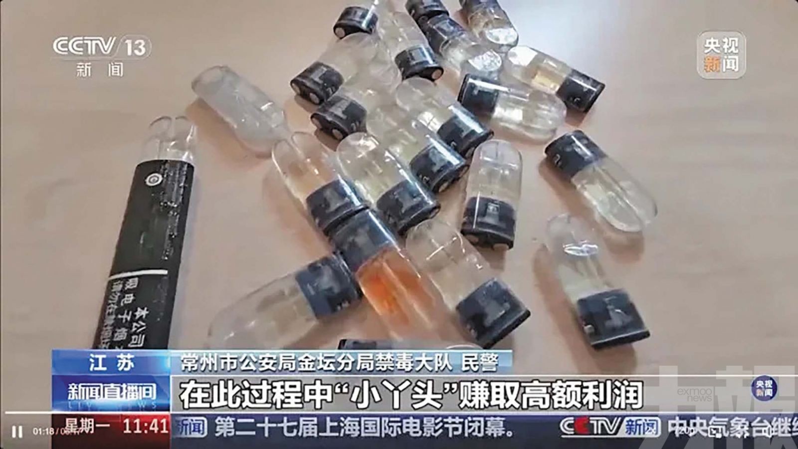 17歲女首腦「小丫頭」落網