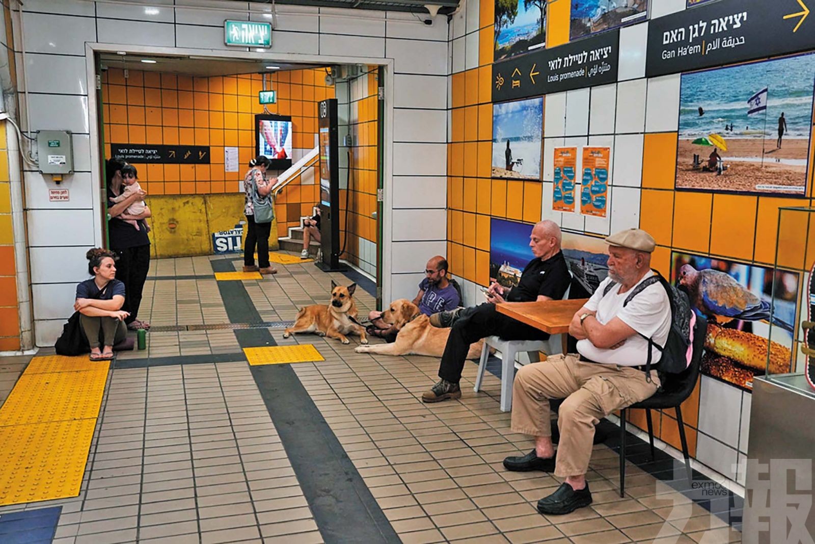 何以以色列股價創新高