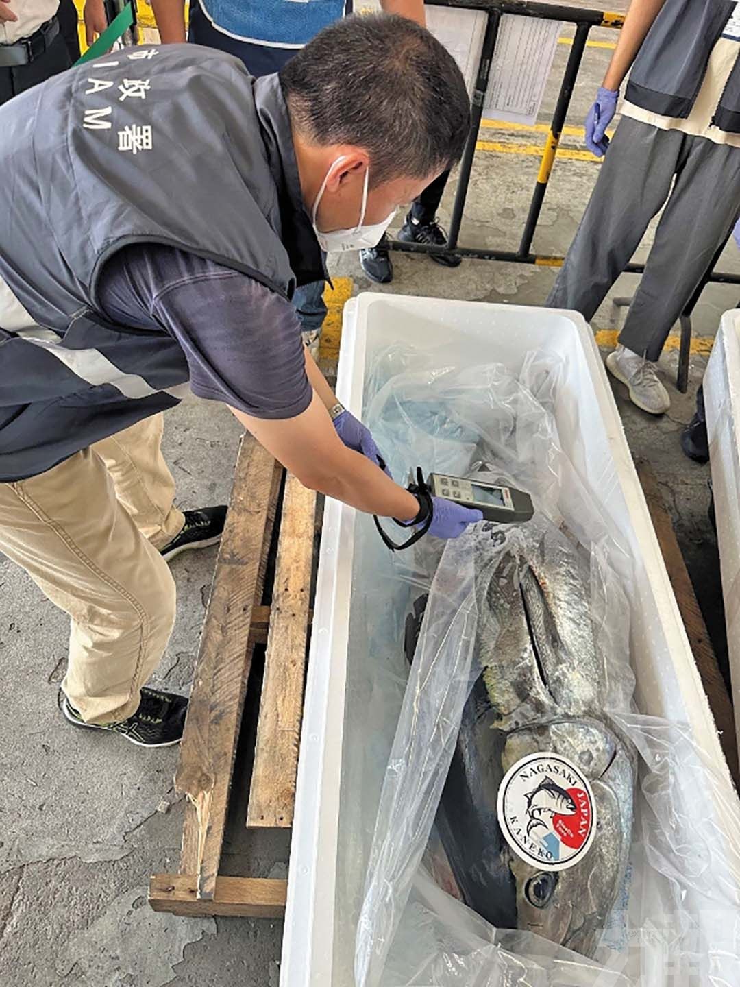 本澳維持禁止進口