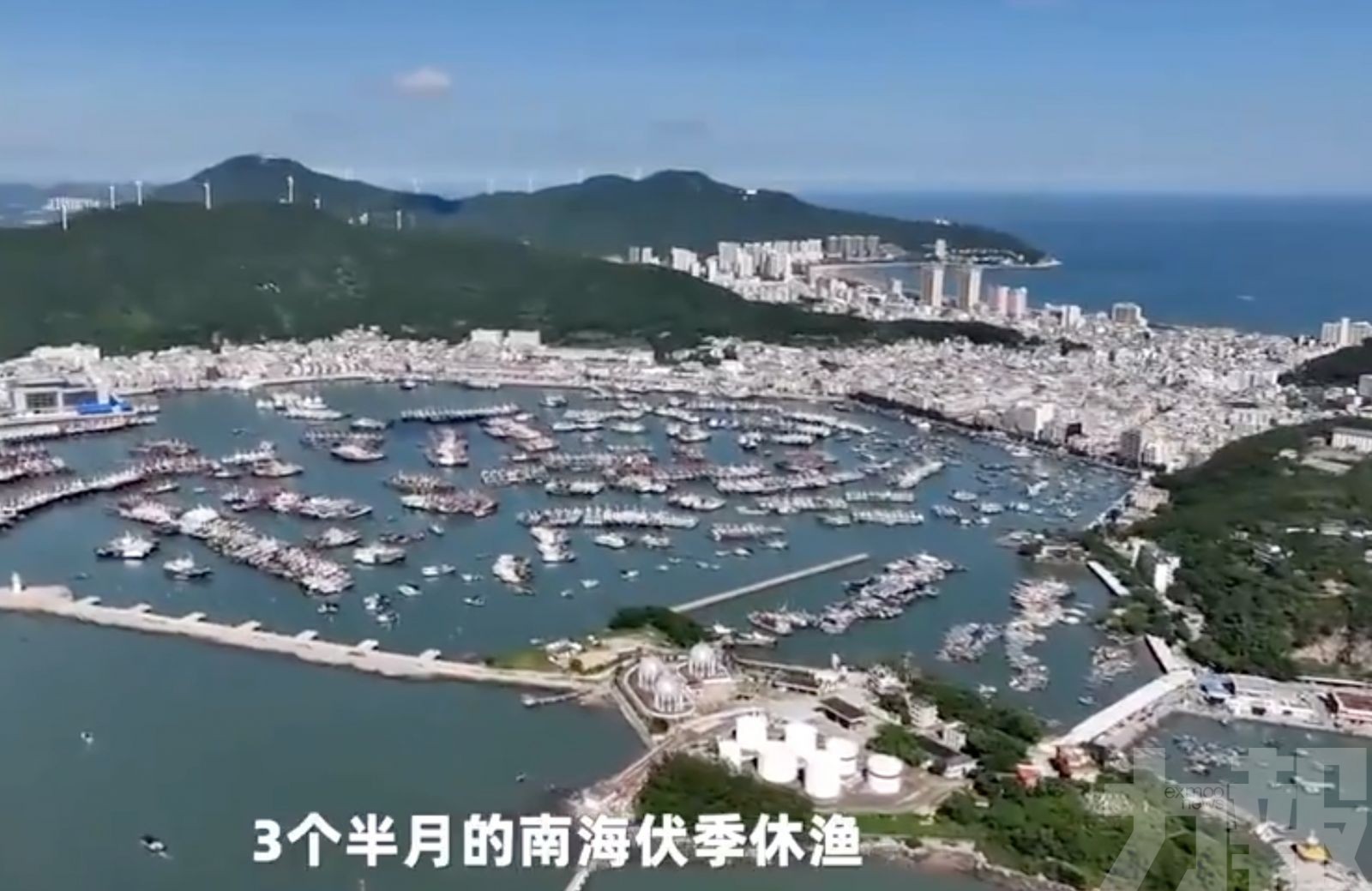 現代化海洋牧場掀起灣區餐桌革命