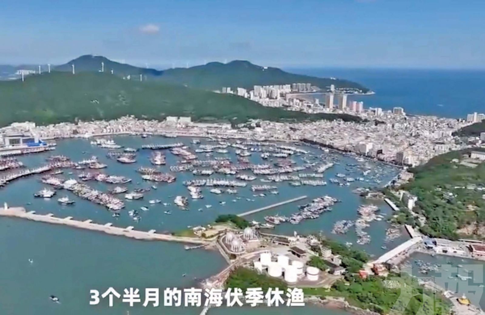 現代化海洋牧場掀起灣區餐桌革命