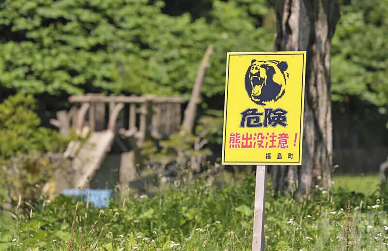 北海道送報員遭熊咬死
